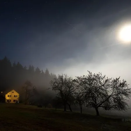 Κάμπινγκ Baumzelt Im Winter Regen