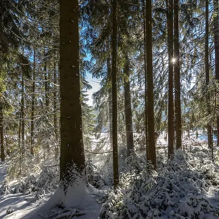 Baumzelt Im Winter Κάμπινγκ