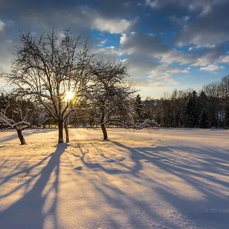Baumzelt Im Winter Κάμπινγκ